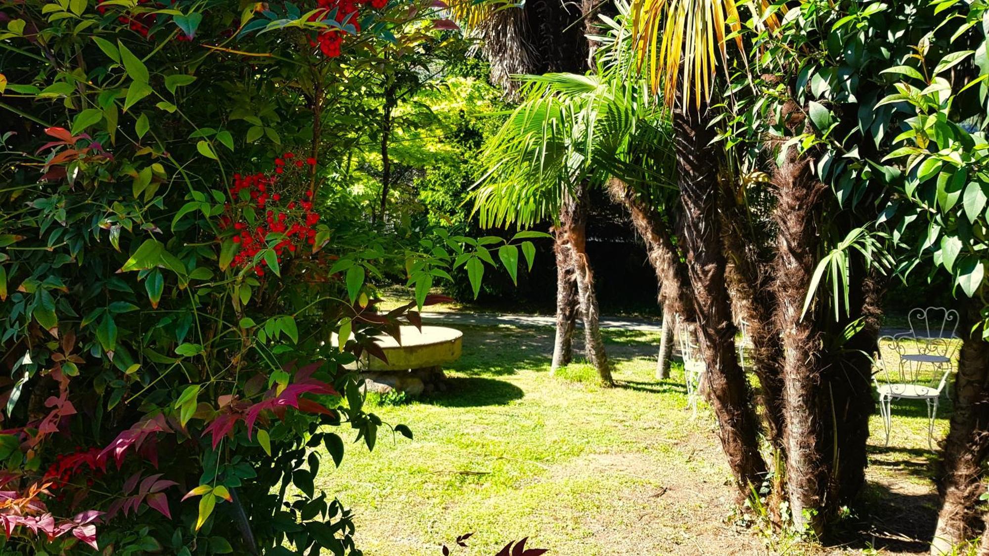 Casa Emilia Villa Dongo Exterior photo